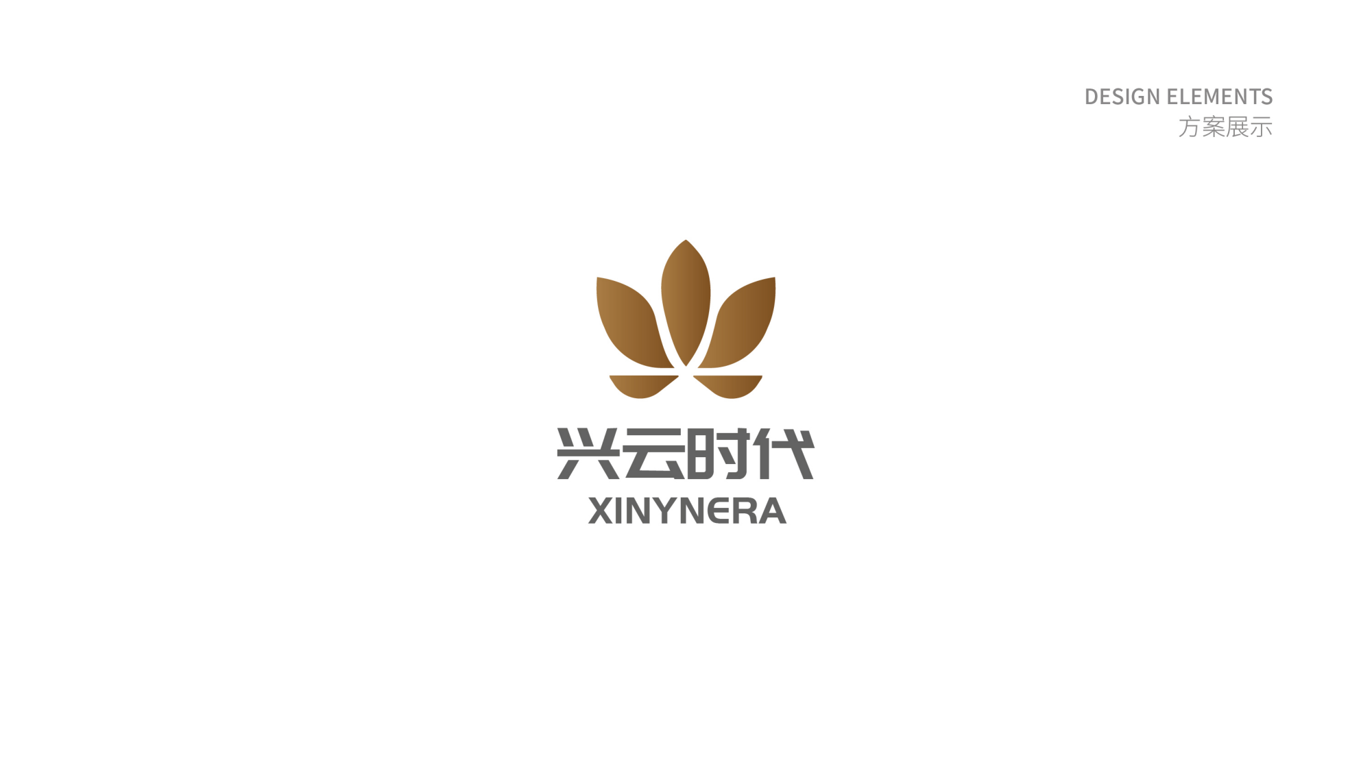 興云時(shí)代標識設計方案_05.png